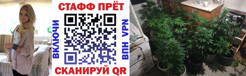 Наркошоп купить APVP  Бошки Шишки  МЕФ  Гашиш  Новоалтайск